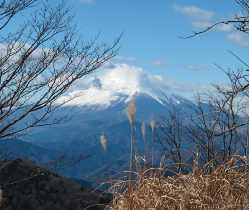 鍋割山から富士山