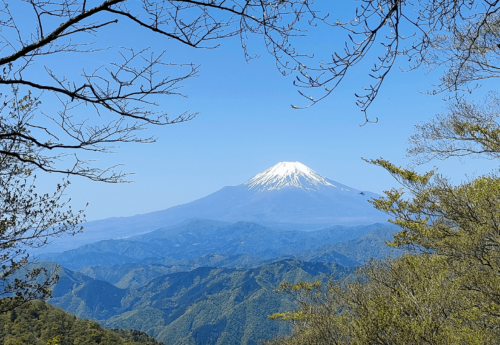 檜洞丸からの富士山１